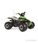 PEG PEREGO Quad Corral T- REX 330W