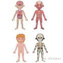 Tooky Toy Drewniane Puzzle Montessori Magnetyczne Nauka Anatomia Człowieka 78el.