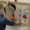 MASTERKIDZ Tablica Edukacyjna Układ Oddechowy Montessori