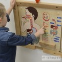 MASTERKIDZ Tablica Edukacyjna Układ Trawienny Montessori