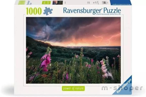 Puzzle 1000 Nadchodzi burza