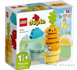 LEGO(R) DUPLO 10981 (4szt) Rosnąca marchewka