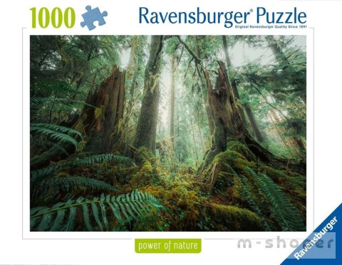 Puzzle 1000 Lasy