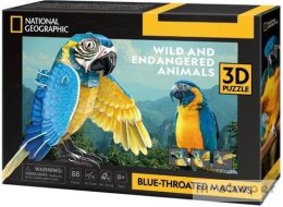 Puzzle 3d National Geographic Ara Szafirowa