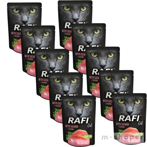 Rafi Cat Łosoś saszetka 10 x 300 g