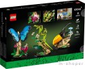 LEGO 21342 Ideas Kolekcja owadów