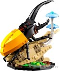 LEGO 21342 Ideas Kolekcja owadów