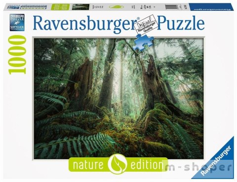 Puzzle 1000 Lasy