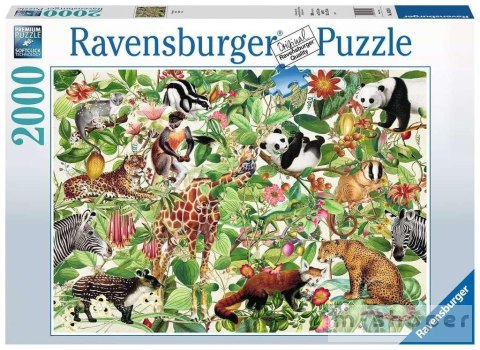 Puzzle 2000 Dżungla