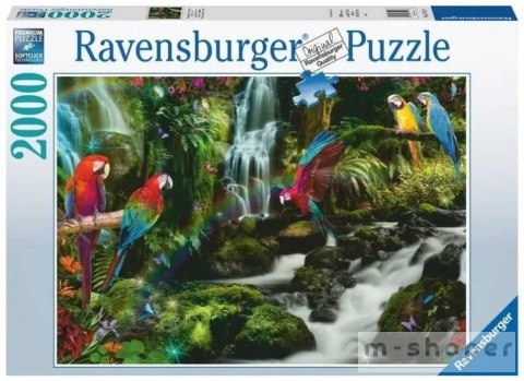 Puzzle 2000 Papugi w dżungli