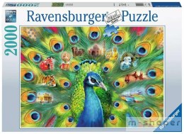 Puzzle 2000 Pawia Kraina