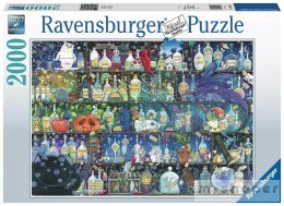 Puzzle 2000 Trucizny i mikstury