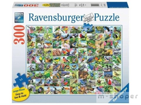 Puzzle 300 99 zachwycających ptaków