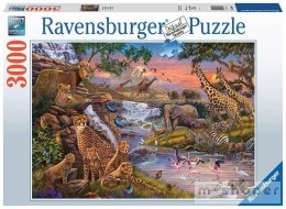 Puzzle 3000 Królestwo zwięrząt