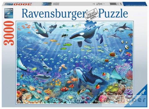 Puzzle 3000 Podwodny świat