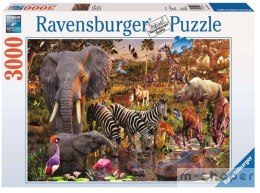 Puzzle 3000 Zwierzęta Afryki