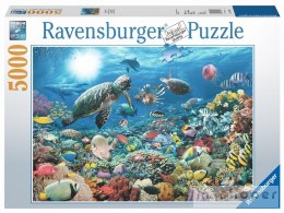 Puzzle 5000 Głębia Oceanu