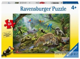 Puzzle 60 Zwierzęta z lasu tropikalnego