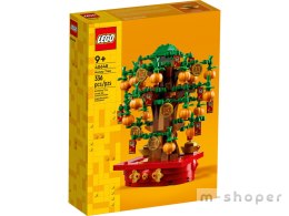 LEGO 40648 Pachira